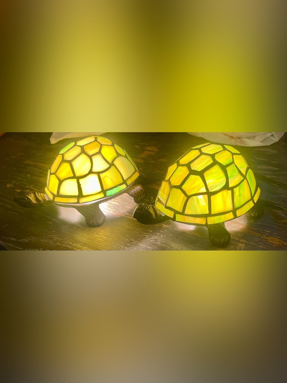 Tiffany-style turtle accent lamps set (2) - Picture 8 of 8